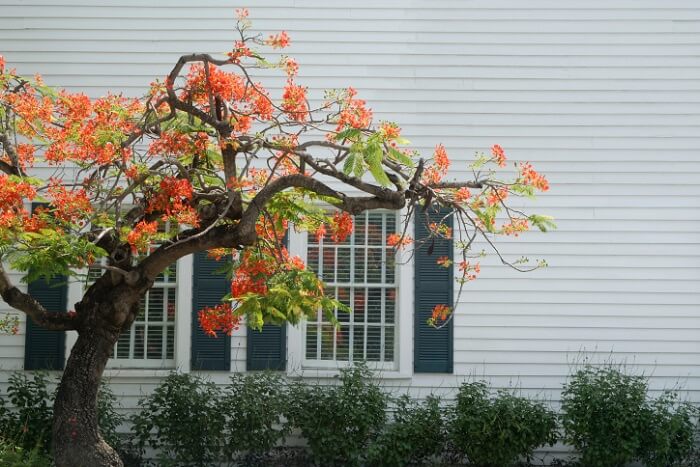 Residential Siding Residential Siding